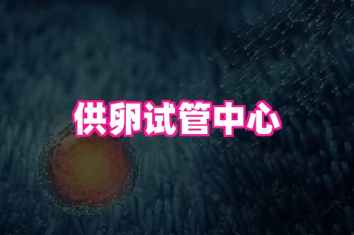 swisee孕网 1