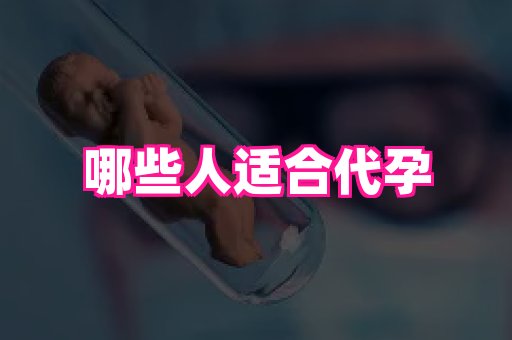 swisee孕网 3